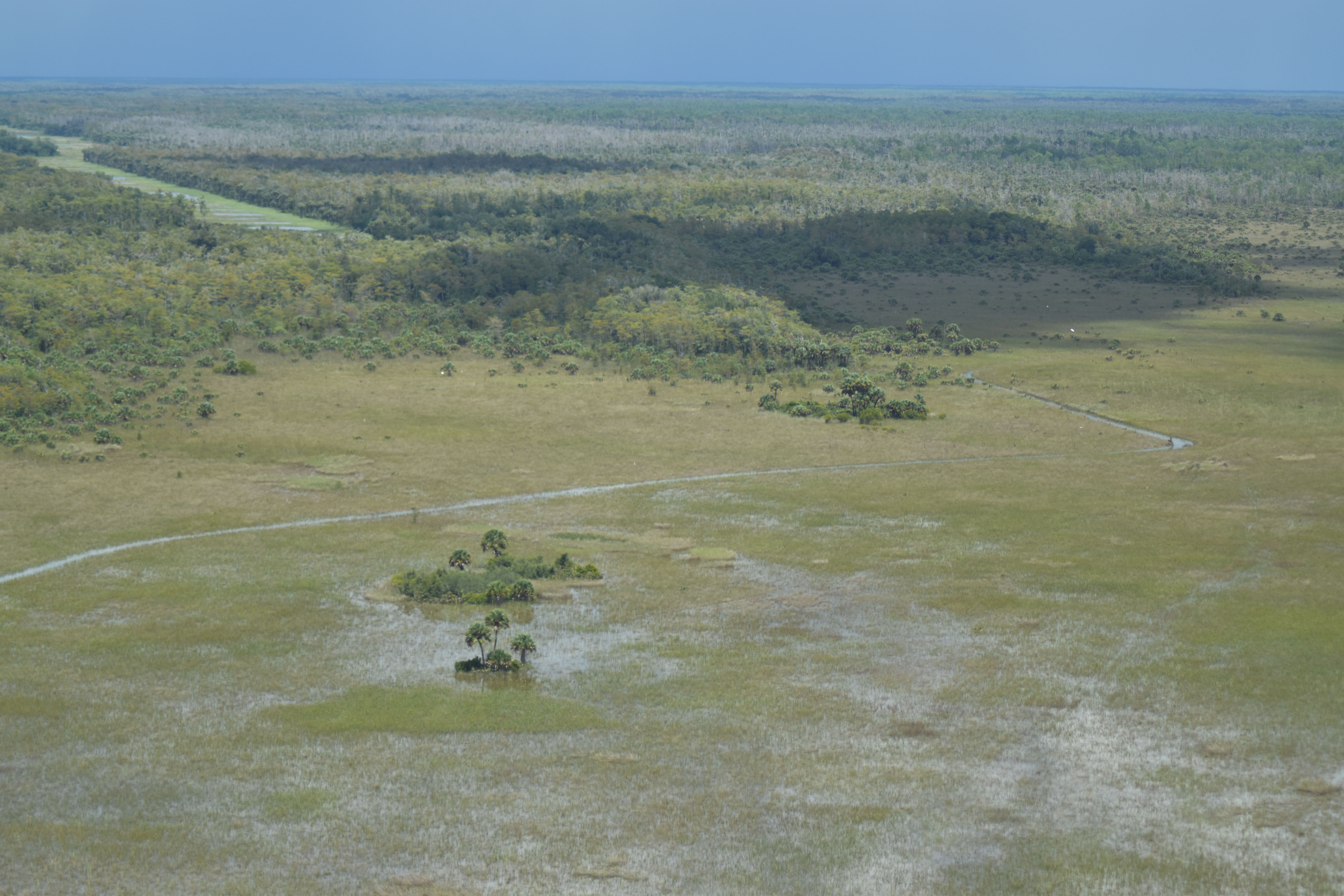 Fakahatchee Strand Preserve State Park to receive critical restoration